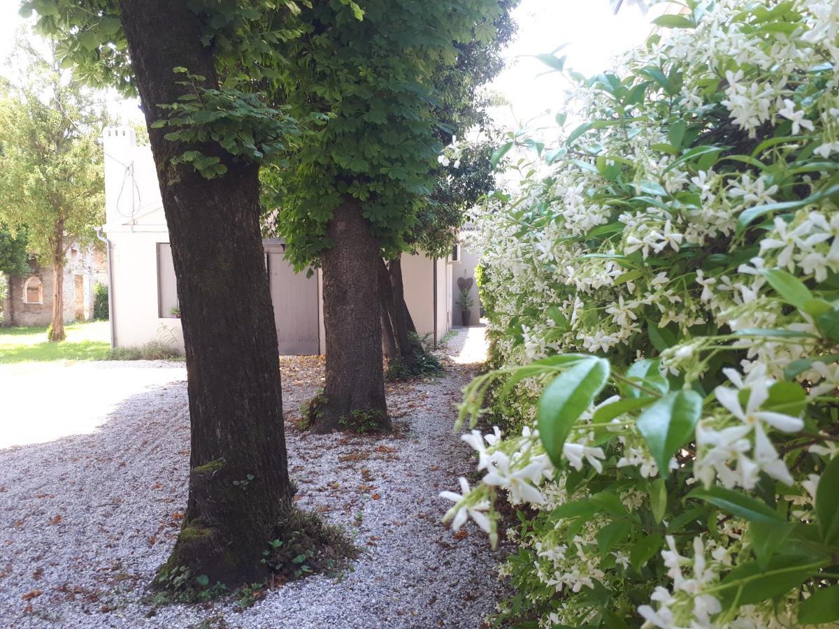 Villa Fiorentino Padova Exterior photo